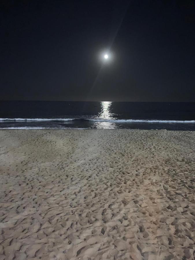 Atico Playa Muchavista - El Campello Apartment อาลิกันเต ภายนอก รูปภาพ